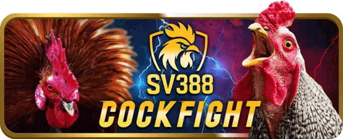 Hướng dẫn đặt cược đá gà 888vnd bet